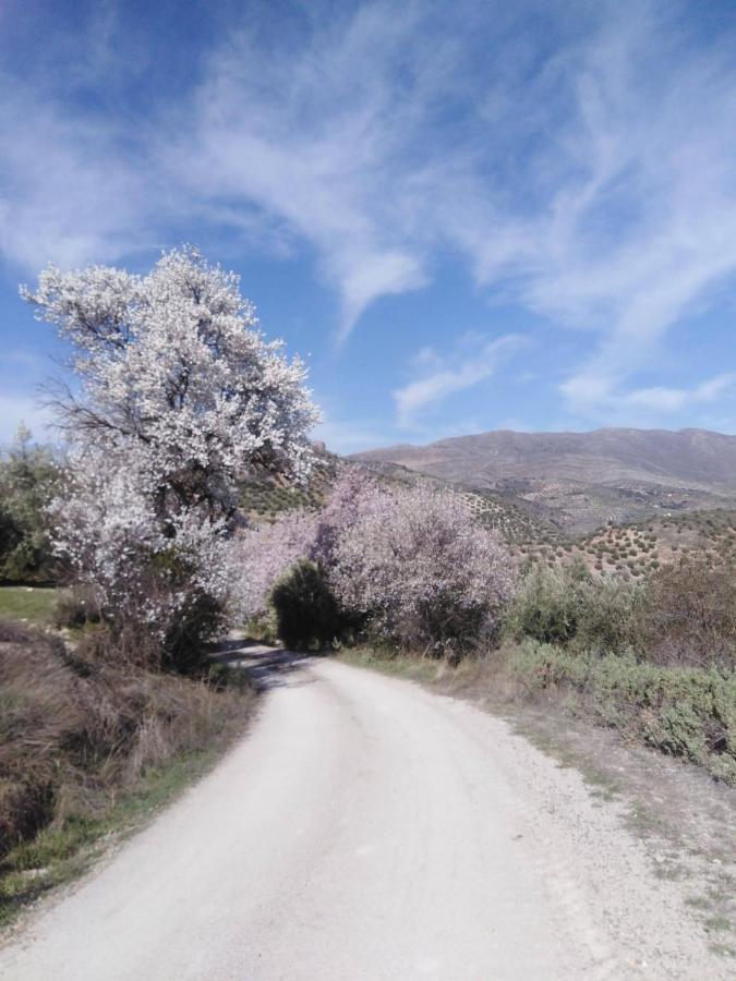 El Convento Vivienda Rural Jaen Andalucia Espana Carchelejo エクステリア 写真