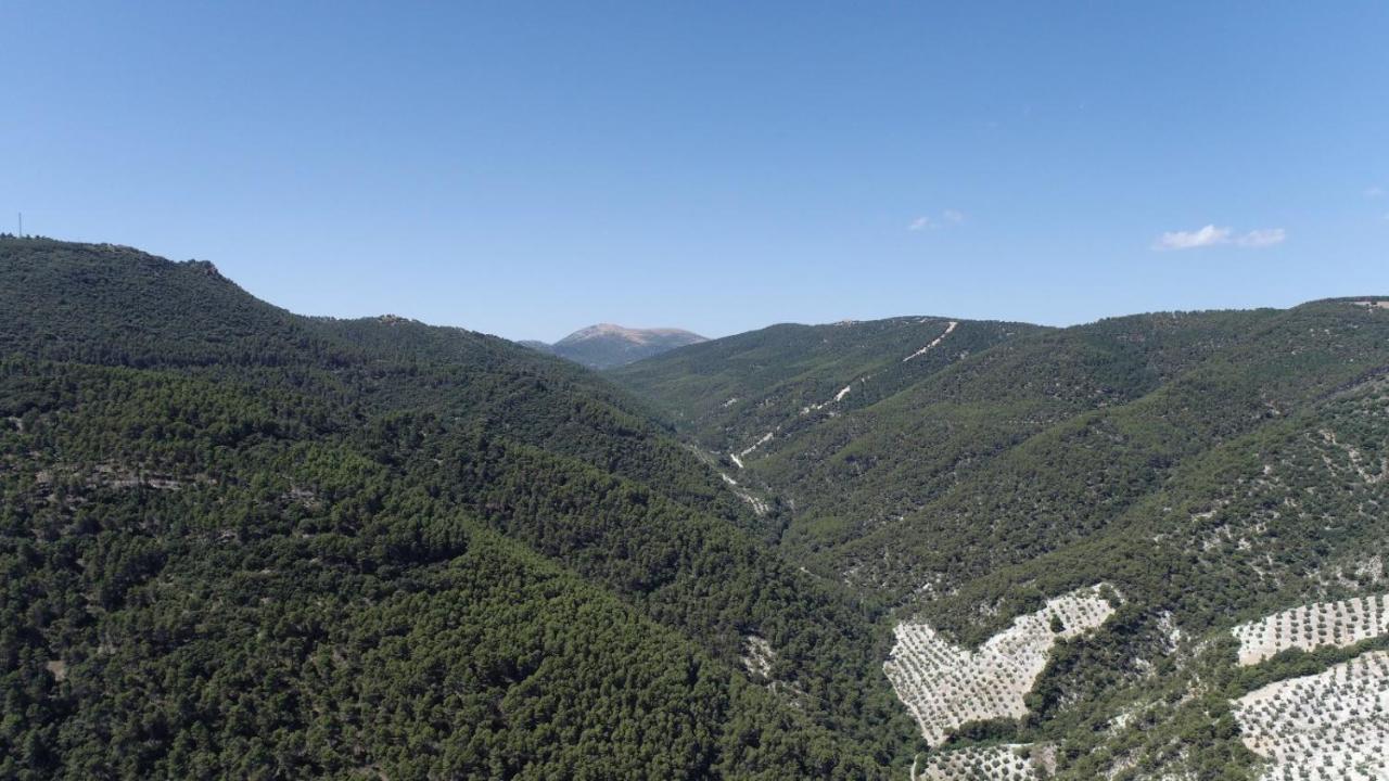 El Convento Vivienda Rural Jaen Andalucia Espana Carchelejo エクステリア 写真